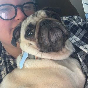 Meet your Posher, Sally